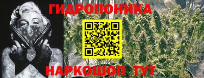 прущие крисы Будённовск