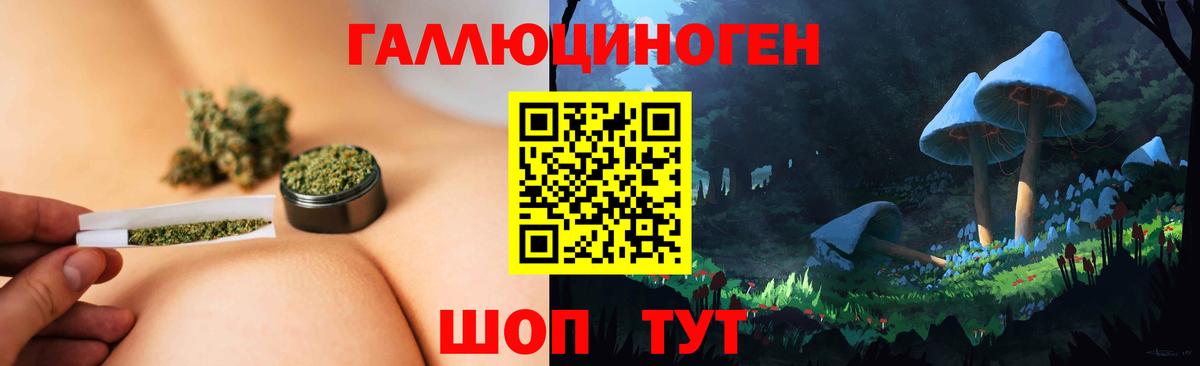 Галлюциногенные грибы Cubensis  Вход с VPN  Малгобек 